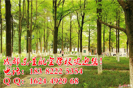 成都东星航空学校高铁乘务专业招生要求和课程