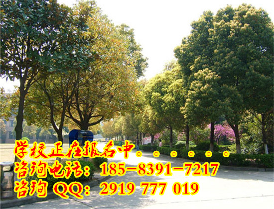 成都高铁乘务员工资多少 待遇怎么样