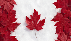 加拿大签证怎么通过绿色通道加急递签申请? -