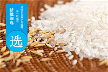 大米价格高低的区别 c2_20161109143648_10678.png