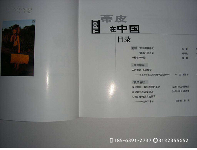 我们拥平面水准的部分设计师,针对客户的需要进行精湛的创意和完美viv平面手册a有高图片
