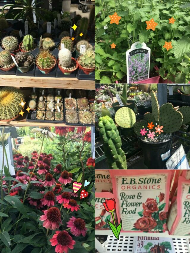 美国波士顿旅行社推荐