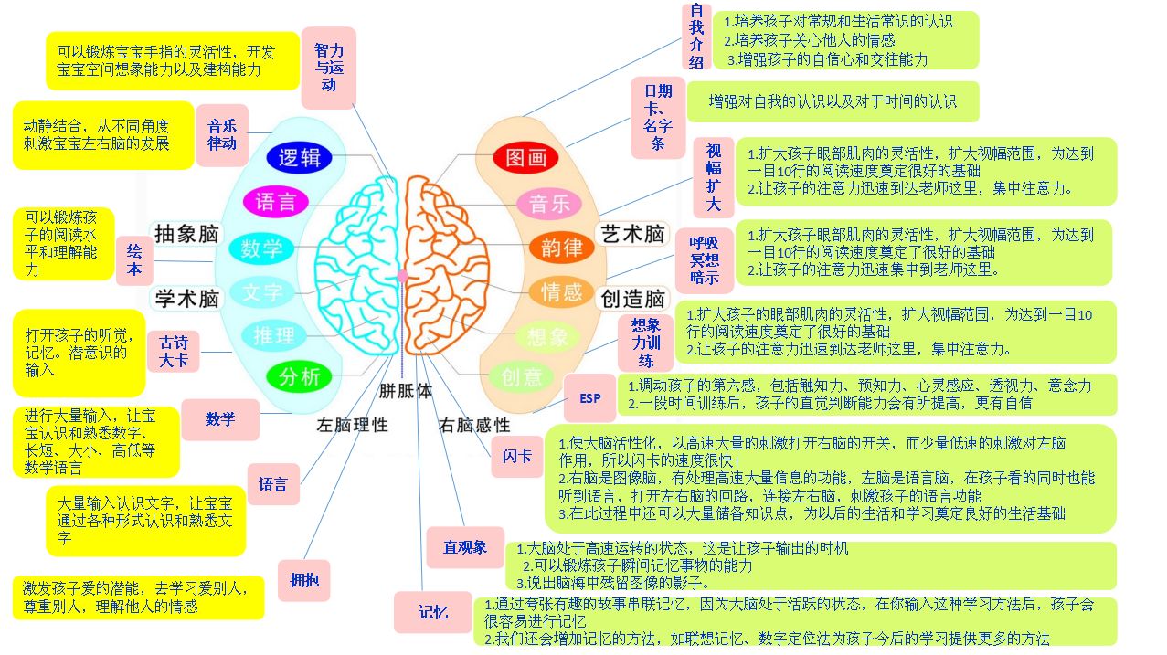 杭州博文智星全脑教育