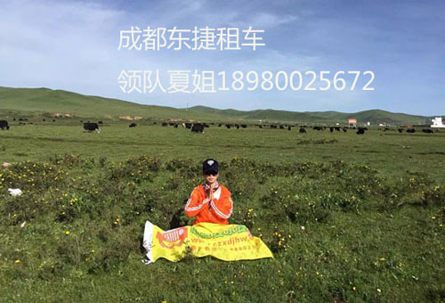 成都租车去稻城亚丁选择越野车还是商务车 - 旅