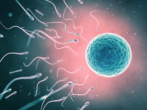 试管宝宝胚胎的至佳移植时间什么时候 - 老友网