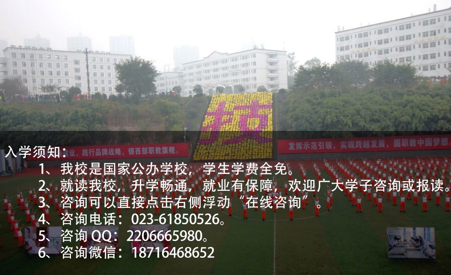 重庆思而锐教育-大渡口课外辅导学校找哪家？