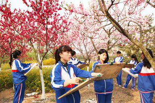 重庆中职院校旅游服务与管理专业有哪些课程 