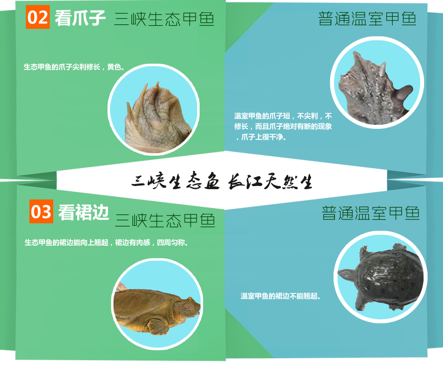 20140507095939_94473.jpg