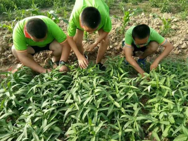 长最容易形成的三种偏见-湖南邵阳叛逆孩子学校