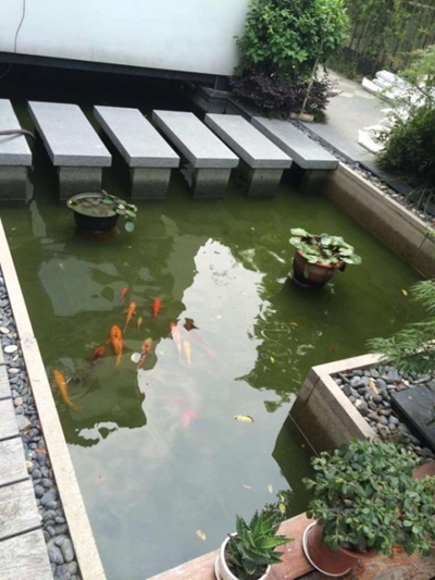 南京庭院水池建造设计施工