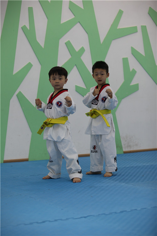 南湖周边专业的跆拳道培训中心 - 教育文化
