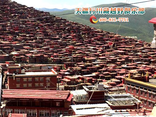 2018成都车展_2018成都人均消费(2)