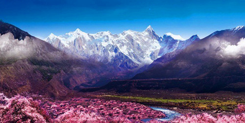 成都租车进藏的价格 - 旅游交通