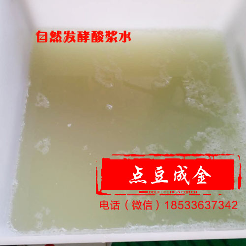 天水哪里教老浆豆腐技术 酸浆豆腐点浆技巧