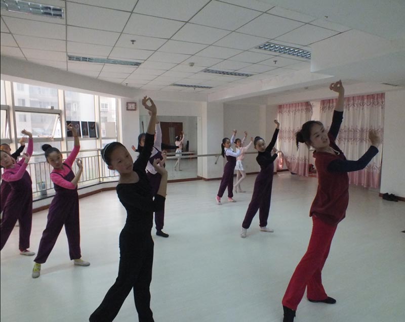 河北哪里有正规拉丁舞培训学校，哪家收费低 - 新快报