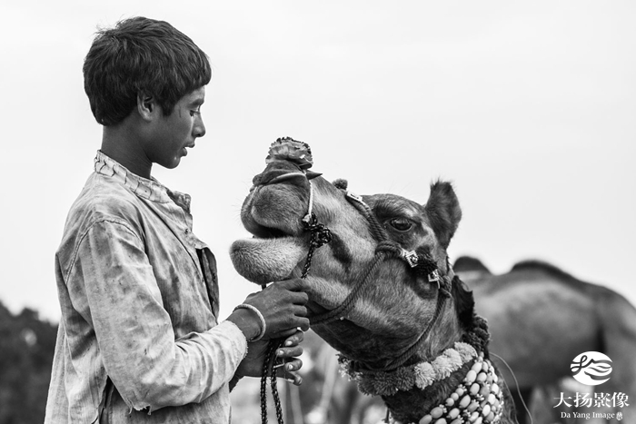 深圳摄影采风团11月去印度领略异域风情!