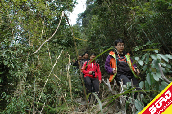 广东有哪些原始丛林生存体验专业策划 - 咨询培