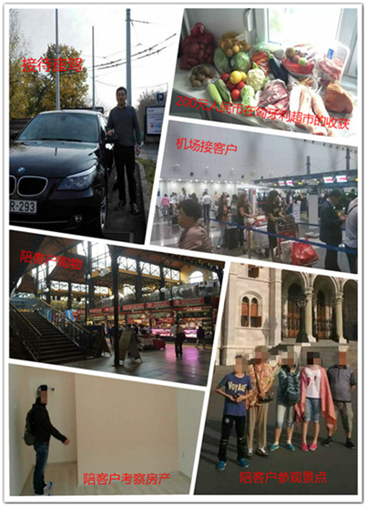 广州匈牙利海外移民好吗?匈牙利教育水平如何