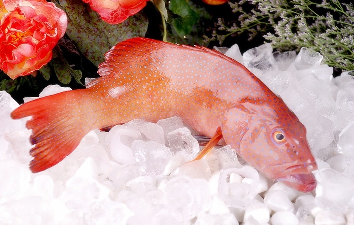 速冻海鲜怎么解冻才能保留:最初的营养和鲜味