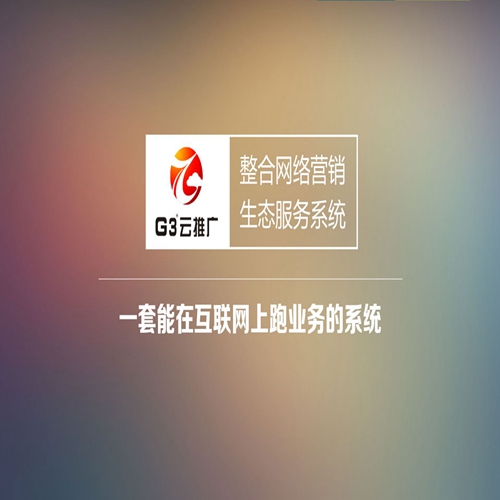 广州最专业网络营销策划推广公司