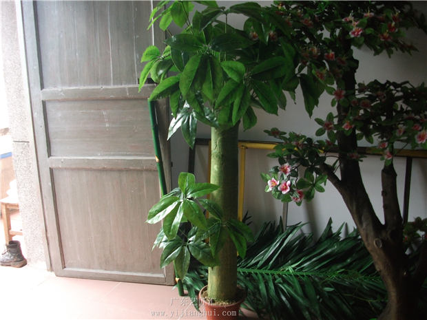 仿真发财树与真发财树植物盆栽的养护区别