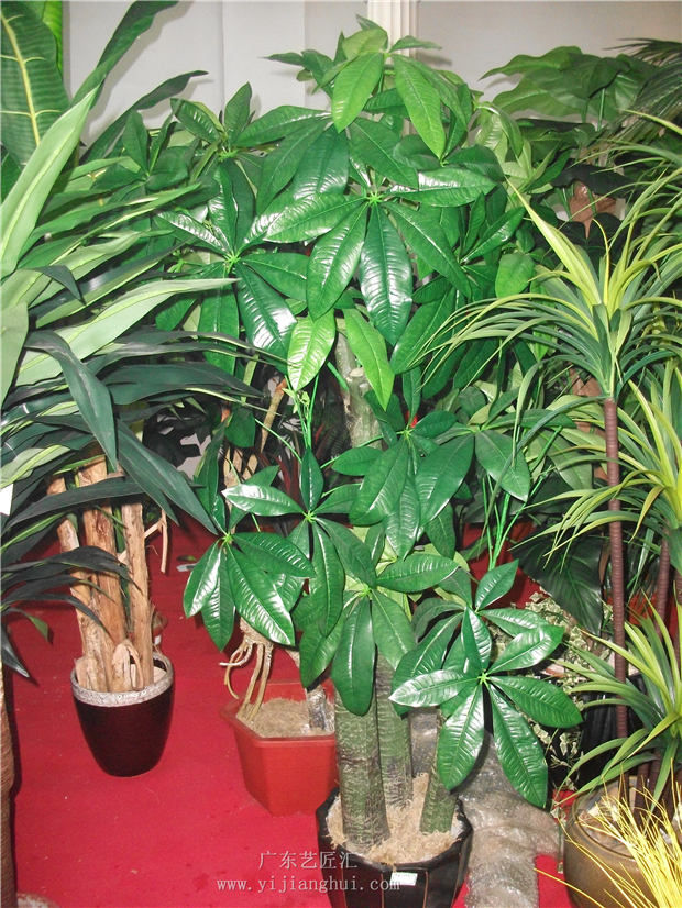 仿真发财树与真发财树植物盆栽的养护区别