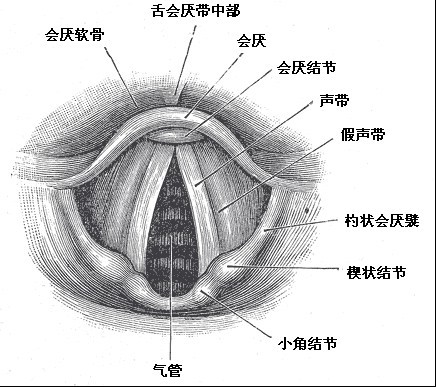 攻破高音的5个唱歌技巧!广州唱k培训丨广州学唱歌