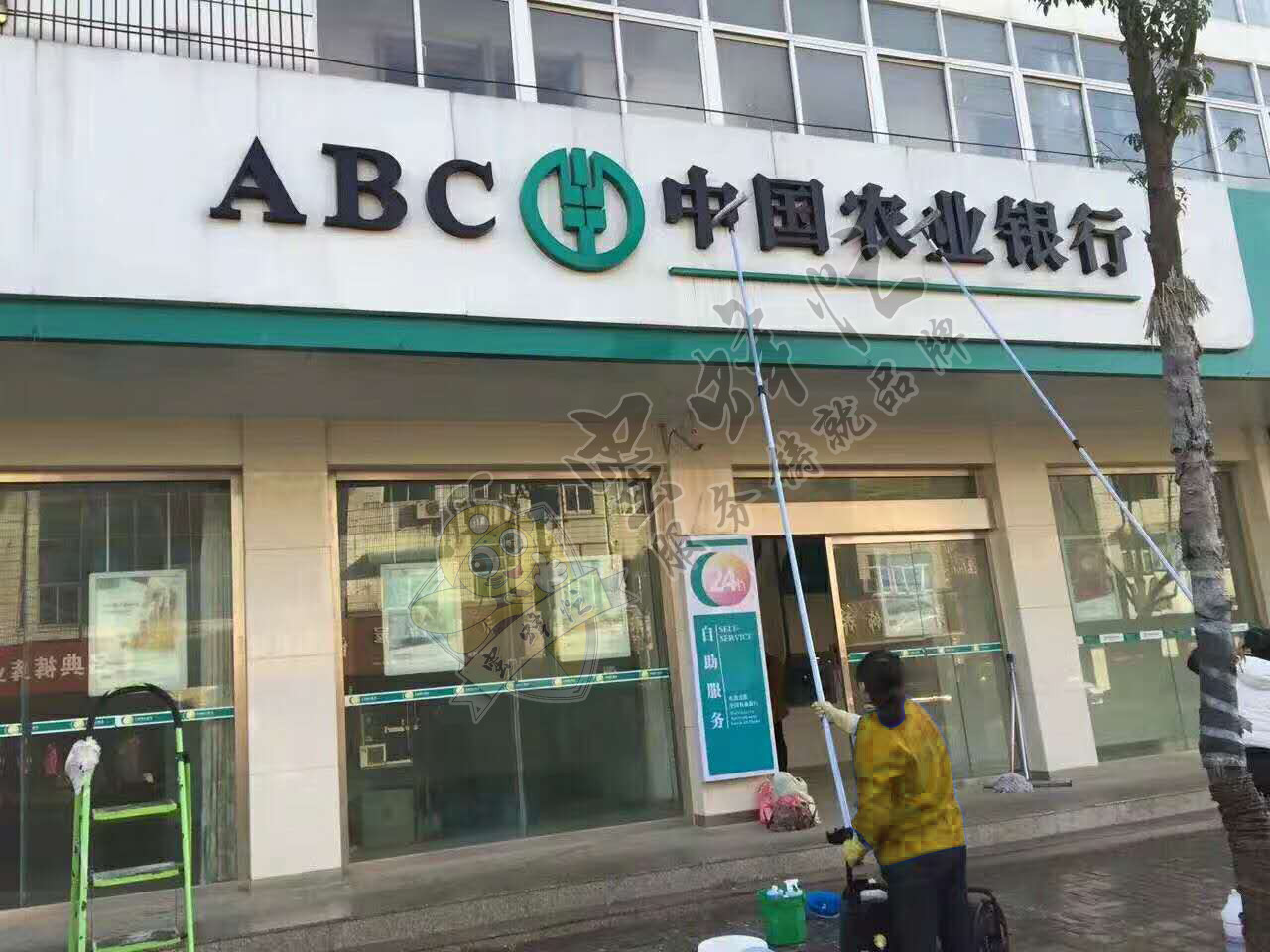 陕西家电清洗公司加盟 小蜜蜂无限商机,让创业者赚取一个亿图片 243491 1280x960