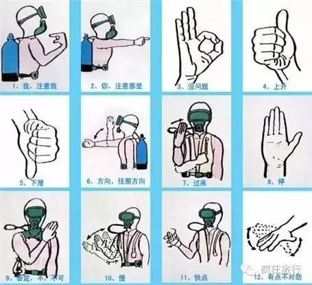 首先记得复习水下通讯手势 communication signals/hand signals.