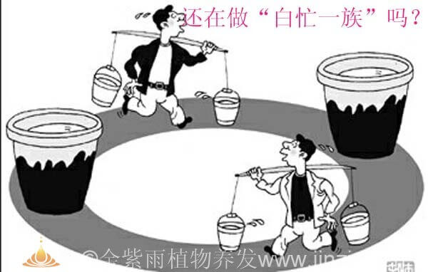 染发剂什么牌子好呢?纯植物染发剂哪个好-生发