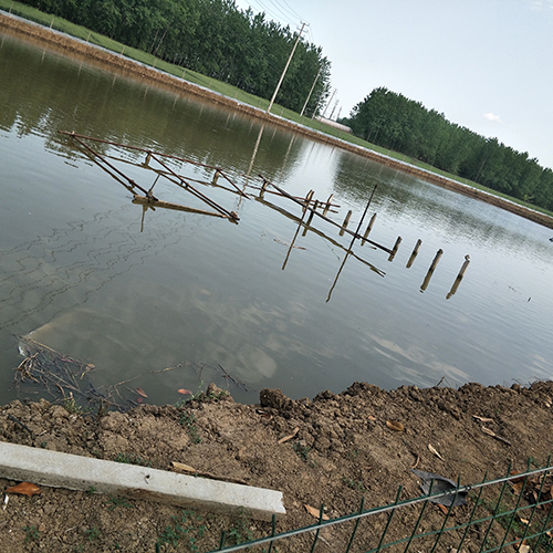 2016江苏最大龙虾基地