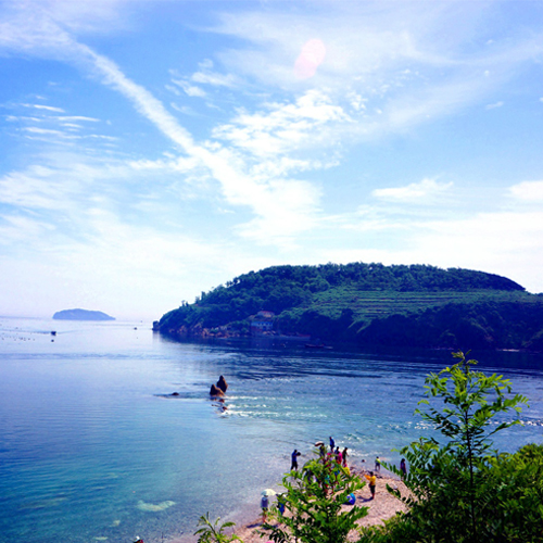 郑州到大连旅游哪个旅行社口碑好?求推荐。