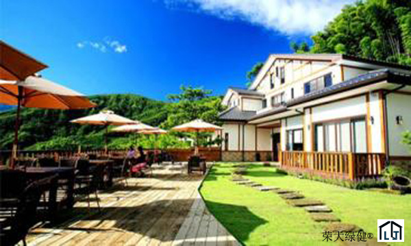 迪拜特色民宿增长迅速:集装箱民宿、木屋民宿