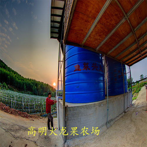 高明无公害火龙果农场规模大信誉好!