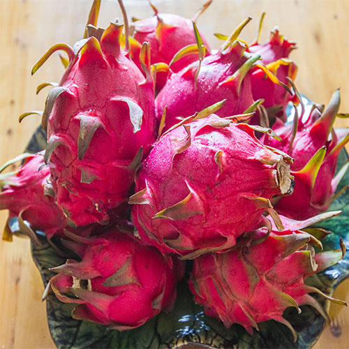 三水有机火龙果农场的联系热线是多少?