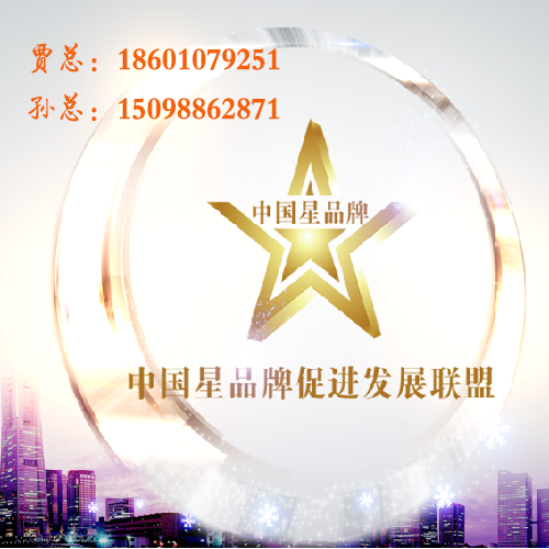 中国星品牌促进发展联盟--品牌营销推广济南服务机构