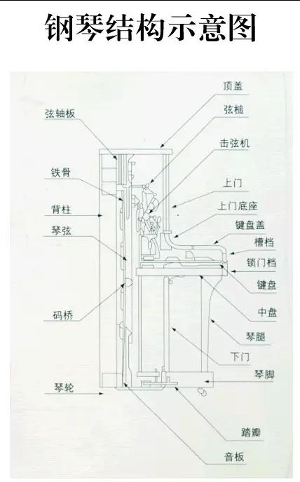 钢琴练习发声的谱子