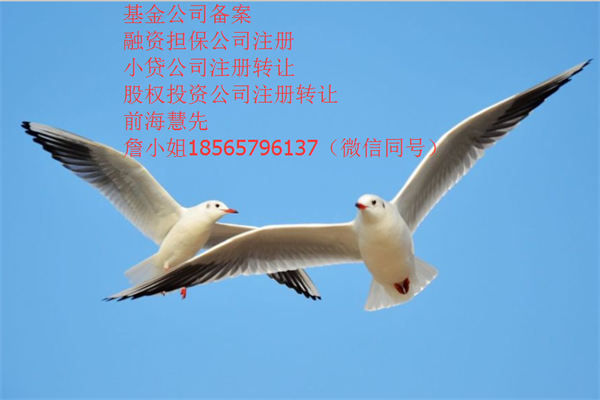 注册股权投资类公司条件和流程