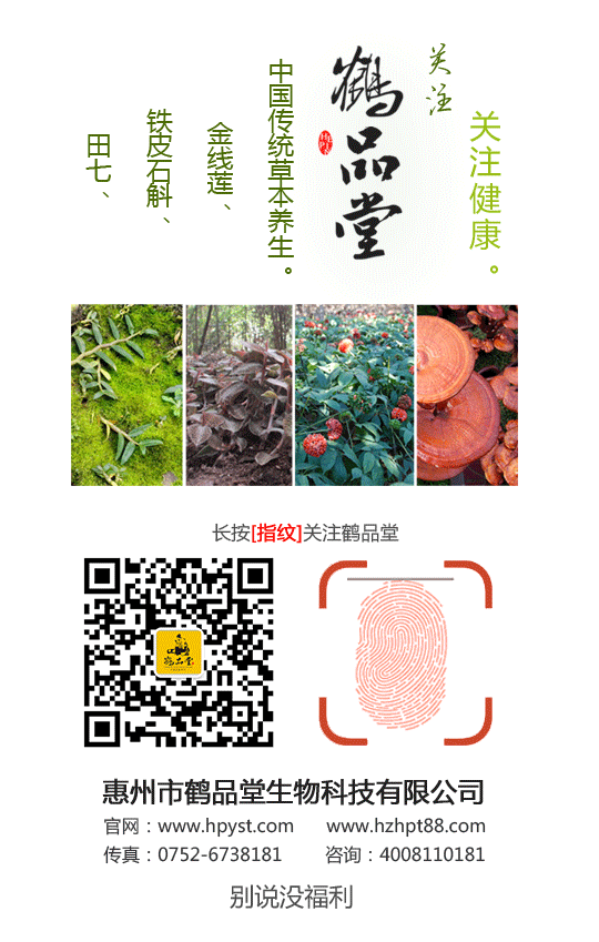 哪里有金线莲的种植基地?当然是惠州罗浮山