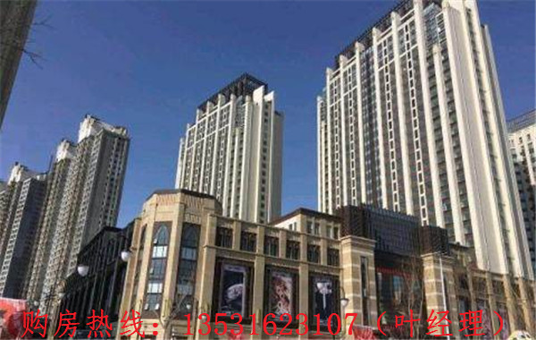 大亚湾最新楼盘新华联广场房价多少钱,新华联