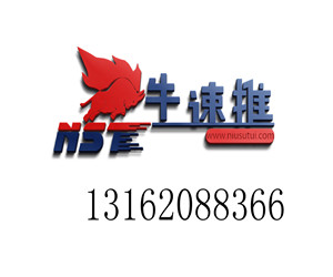 上海seo排名_seo优化排名图片