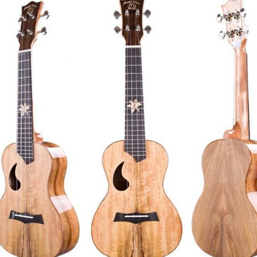 安徽尤克里里买什么牌子比较好?求推荐一家