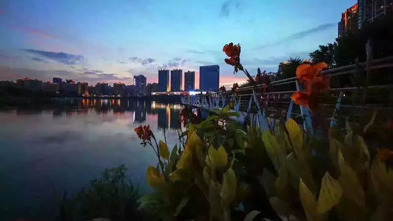 临深片区金山湖超高拓展面积|沃尔玛强势入驻