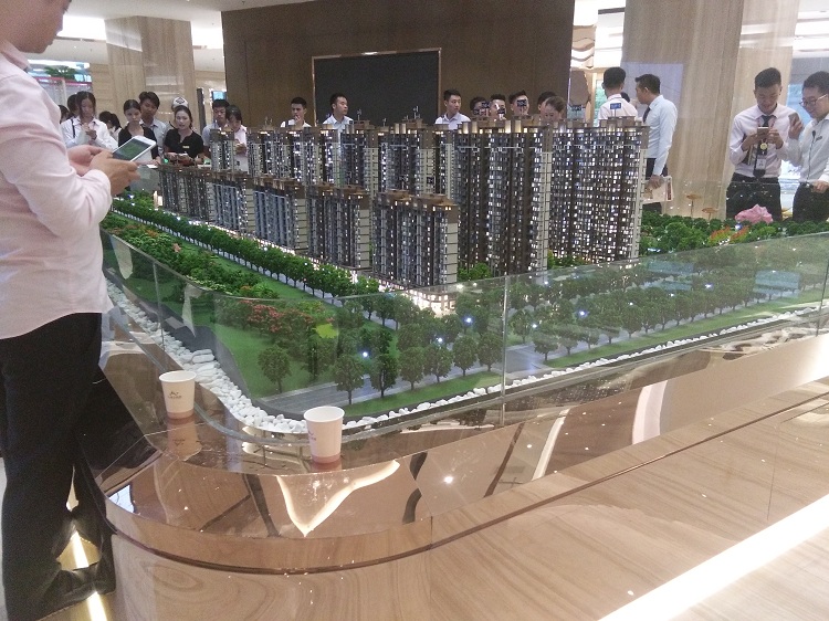 惠阳九洲玉带湾百万大盘、紧邻深圳白云地铁站