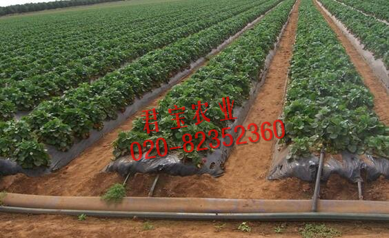 广西膜下滴灌材料膜下滴灌毛管批发价格