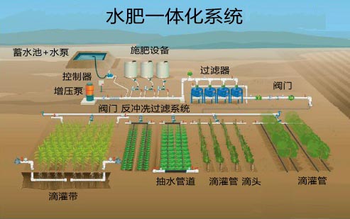 海南哪里找滴灌技术先进,滴灌质量有保证的三不管家