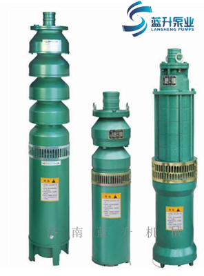 山东喷泉潜水泵 山东灌溉潜水电泵首选蓝升品