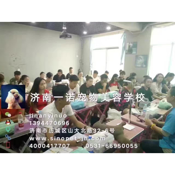 沈阳宠物美容培训学校-企业百科