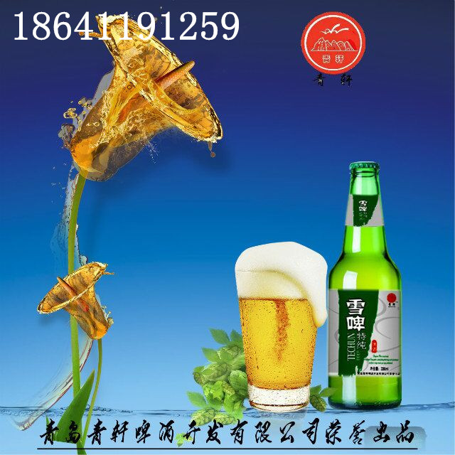 沧州市|运河区果味啤酒【高端啤酒】批发饮料