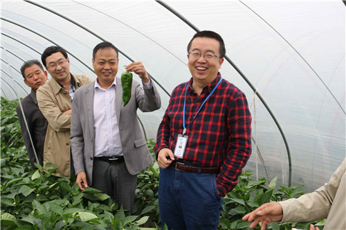 功能型有机肥一呼而起,东台市农委走访安徽乐